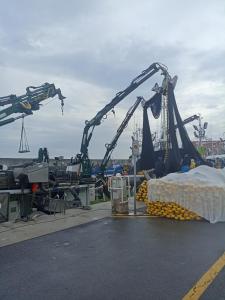 apartamento céntrico zona Marques de comillas 8