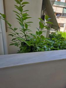 Kypseli Apartment