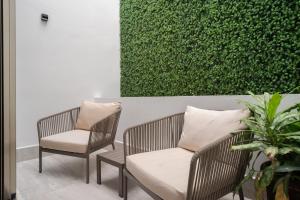 MAYAN MONK Suites