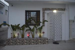 à louer appartement s1