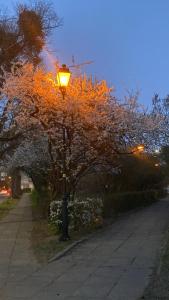 Villa Jumper GDAŃSK