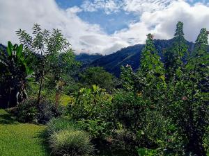 Aloha Chirripo Lodge