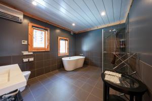 COCO VILLA 白馬-02-hakuba