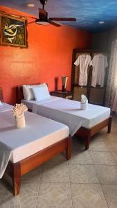 Cabilao Sunset Dive & Beach Resort