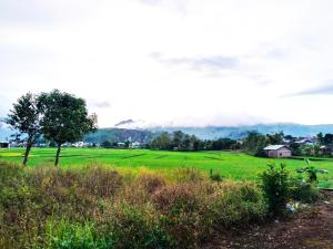Homestay Lodok