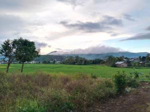 Homestay Lodok