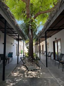 Beachwalk Garden Thoddoo