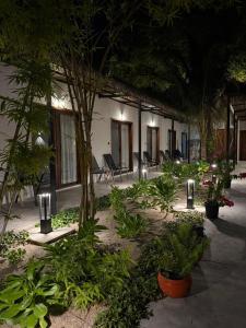 Beachwalk Garden Thoddoo