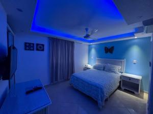 Garden Condos 43, Modern Condo in Sosa center