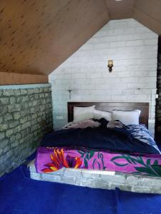 Ambika Campaign Huts