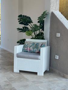 Casa Babila Plus