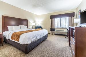 Comfort Inn Festus-St Louis South
