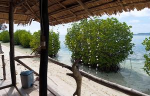 Freedom Homestay - Raja Ampat