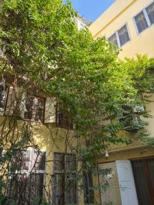BOBY HOME STAY "BOBY MANSION" Jaipur