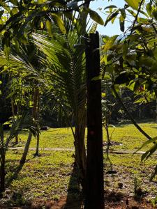 Baansuan Suksangob Farm Stay