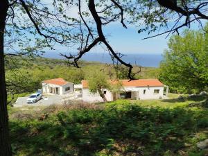 Forest and Sea view villas