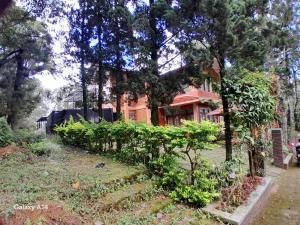 Villa Dinar Tulip Pinewood