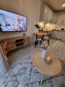 Przytulna Przystań Apartament w Centrum Bydgoszczy