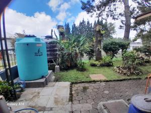 Villa Dinar Tulip Pinewood