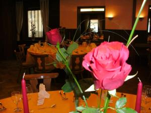Gasthaus zum Hirsch Hotel - Restaurant