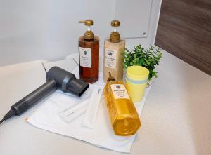 TP302 Modern Apartment for 4 near Tokyo Skytree, Kinshicho and Oshiage