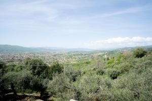 Casa Panorama