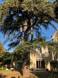 Grande maison familiale hyper calme avec jacuzzi au coeur de Cognac