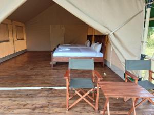 Veilscape Mara Camp