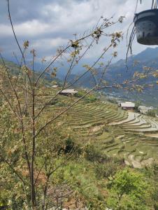 Hoàng hiểu homestay