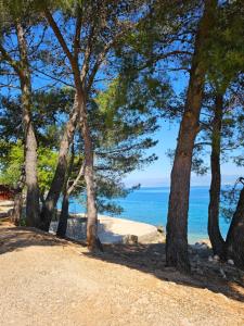 Villa Carpe Diem