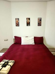 Le Central Cosy - Au Coeur du Centre Ville