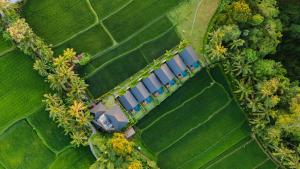 Ascarya Villa Ubud