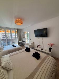 Spacieux studio proche gare