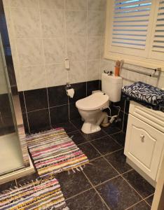 Dog friendly accommodation