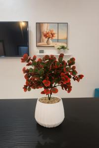 Cozy apartment - Perfect location in Tangier