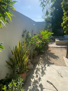 Estudio en “casa Livia” con piscina y jardín.