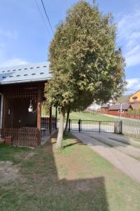 Agroturystyka Słoneczne Pieniny