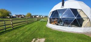 alpaca view Dome
