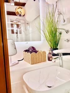 Apartment Jolli
