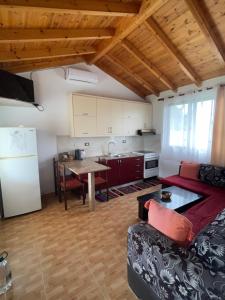 Diarlas Home 1