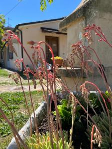 Cuore di Legno Country House