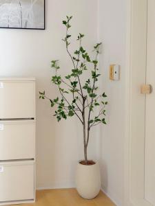 쉼표스테이 종로