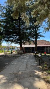 Villa art colony
