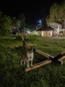Camping Ursulet Durau