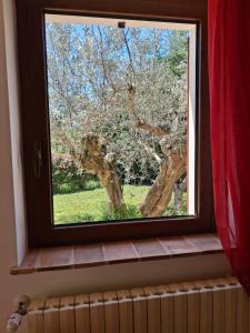 Masseria Spadone img52