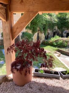 Maison Troglodyte La Hulotte - Charme et tranquillité