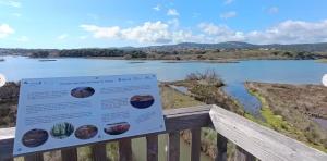 Studio entre Mer et Lagune