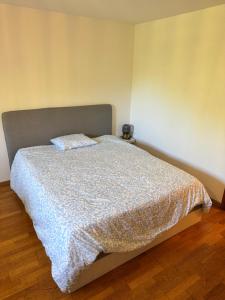 Studio 8 Rhine View - Quiet and Cozy - 10min Walk to City Center, 15min to Main Station