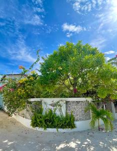 Seaside Dhigurah