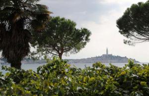 Casa Villa TATIANA MARE